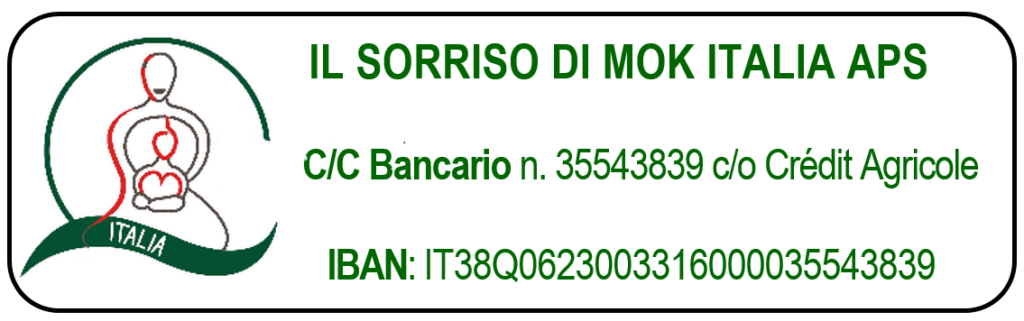 Questa immagine ha l'attributo alt vuoto; il nome del file è IBAN-ISDM-1024x321.png